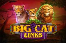 Big Cat Links