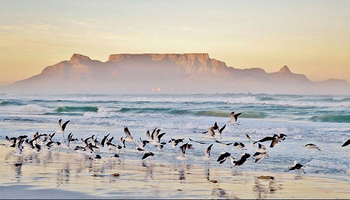 South Africa Beaches
