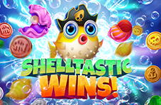Shelltastic Wins